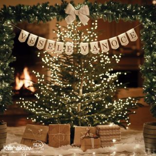 Chtěl bych vám všem, mým zákazníkům a přátelům, popřát ty nejkrásnější a nejklidnější Vánoce. 🎄 ✨ Ať už trávíte svátky...